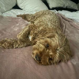 Meet your Posher, Gail